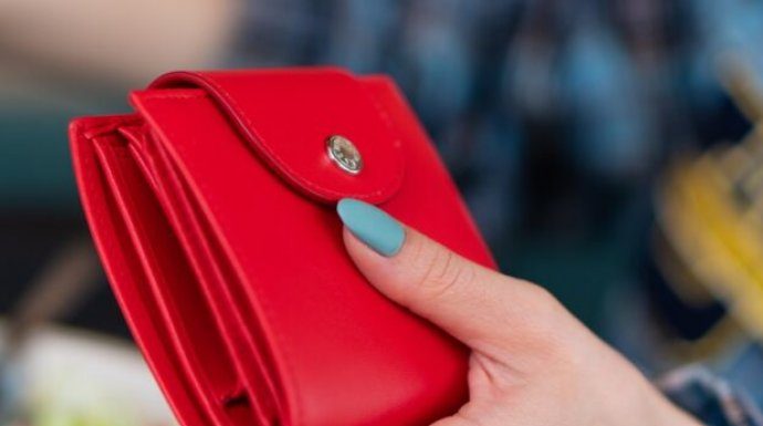 Ova biljka privlači bogatstvo i sreću: Stavite 1 listić u novčanik i gledajte kako se novac gomila