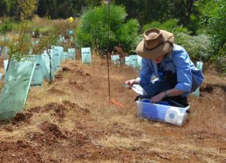 Ljudi širom sveta zakopavaju donji veš u svoje bašte, a iza svega se krije savršeno dobar razlog