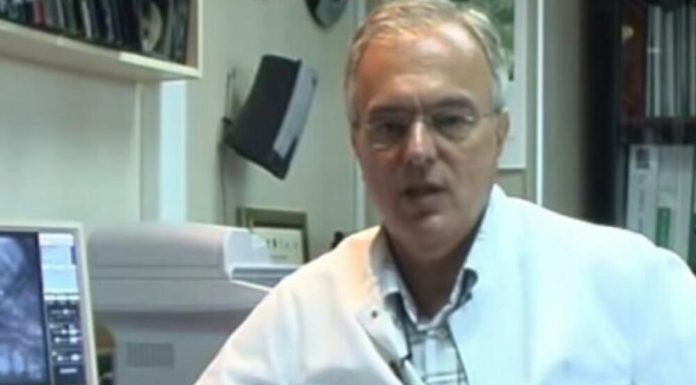 TROJICA KARDIOLOGA OTKRILA KOJE VOĆE JEDU SVAKOG DANA JER JE NAJBOLJE ZA SRCE: Sprečava 80 posto SRČANIH BOLESTI
