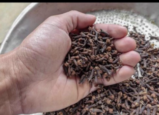 TRADICIONALNI KUĆNI LIJEKOVI ZA ZUBOBOLJU: MUDROSTI KOJE SE NE NAUČE U APOTECI