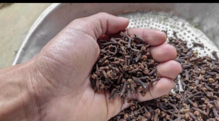 TRADICIONALNI KUĆNI LIJEKOVI ZA ZUBOBOLJU: MUDROSTI KOJE SE NE NAUČE U APOTECI