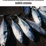 Your paragraph text – 2024-07-30T195217.901