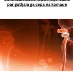 Your paragraph text – 2024-07-31T235244.834