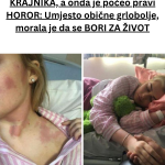 Your paragraph text (42)