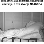 Your paragraph text (51)