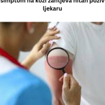 Your paragraph text (81)