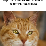 Your paragraph text (83)