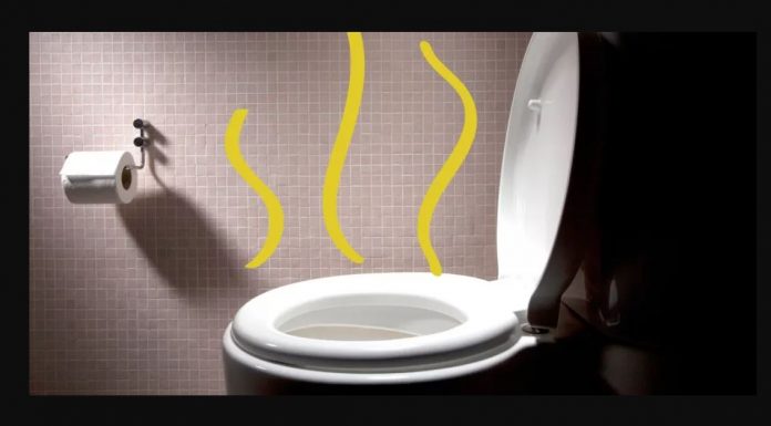 Osjetite Jak Miris Urina? Evo Šta Vam To Može Poručiti!