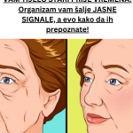 Your paragraph text – 2024-08-25T191227.085