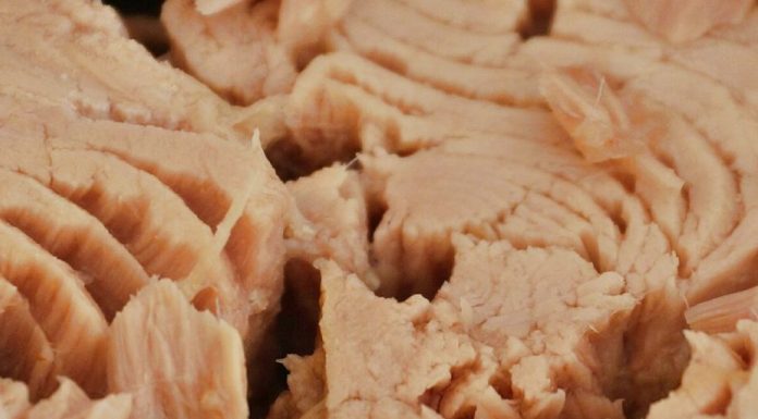 Niste ni svjesni šta unosite u organizam jednom konzervom tunjevine: Evo šta kažu naučnici