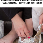 Your paragraph text (19)