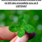 Your paragraph text (33)