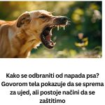 PSIHOLOG SAVJETUJE KAKO PREPOZNATI ZLE LJUDE Samo pažljivo upratite njihovu reakciju na 1 STVAR – 2024-10-04T150156.957