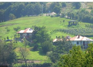 Radosav u Čačku upoznao Albanku, rodila mu troje dece: Doživela šok kad je videla da svekrva…