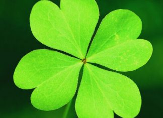 VREME je za SREĆU: Za OVA TRI znaka imamo VESTI koje će ih USREČITI jer su PREDUGO ČEKALI na njih!