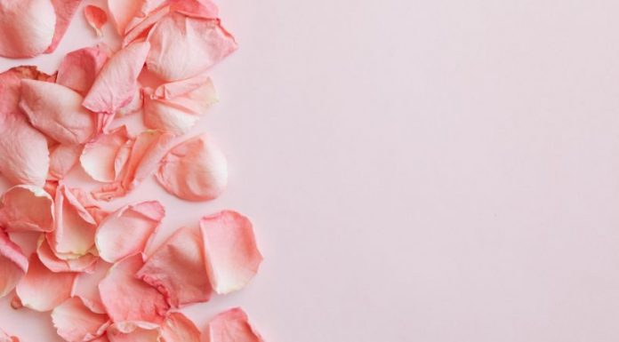 Ljubavni vikend horoskop: Nekome će ljubav pokucati na vrata – na njemu je samo da bude otvorenog srca!