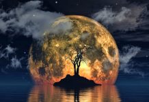 BIVŠE ĆE POSTATI SADAŠNJE: Pobeda i ljubav u najavi i sreća koju je jedan znak čekao jako dugo, napokon će biti voljen!