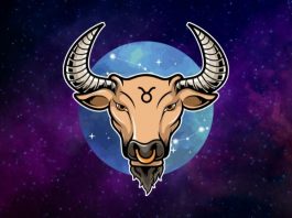 U NOVOJ SEDMICI I SREĆA I TUGA: Bikovi doživljavaju emotivni test – prošlost se vraća, ali sudbina donosi mir!