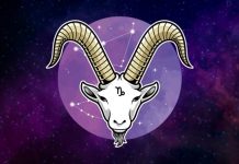 OVE VESTI ĆE UZDRMATI JARČEVE: Posle godina borbe dolazi priznanje – ali i iznenađenje koje menja sve planove!