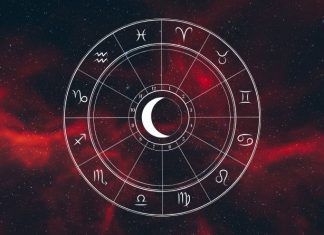 Lav: U središtu drame koju nije tražio – ponos i srce igraju opasnu igru!