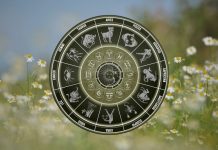 Suze radosnice i neverica: NAJLUĐI SNOVI im se ostvaruju pred kraj godine!