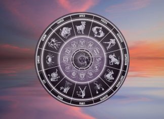 LAV – IZNENAĐENJE MU KUCA NA VRATA! Neočekivani susret pretvara običan dan u sudbinski trenutak!