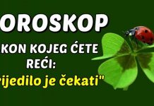 OVIM znakovima SUDBINA OTKLJUČAVA BUDUĆNOST koja će NADOKNADITI SVAKI SLOM, svaku SUZU, svaki “ZAŠTO MENI” i donosi poglavlje POTPUNO NOVOG ŽIVOTA!