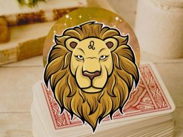 LAV – KARMIČKI HOROSKOP DO KRAJA GODINE: Saznajte šta vam to karma sprema!