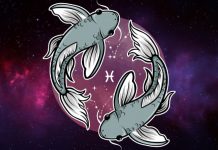 RIBE – VELIKI SUDBINSKI HOROSKOP: Saznajte šta vam to zvezde spremaju!