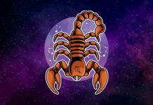 ŠKORPIJA – VELIKI SUDBINSKI HOROSKOP: Saznajte šta vam to zvezde spremaju!