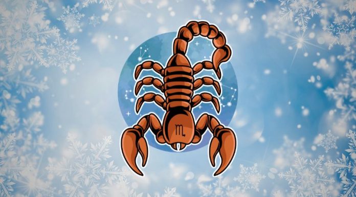 ŠKORPIJA – VELIKI HOROSKOP ZA 2026. GODINU: Očekuje vas mnogo lepih dešavanja koja će vam promeniti život zauvek!