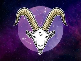 JARAC – MNOGO SREĆE DOLAZI NIOTKUDA: Došlo je vreme da se i vi radujete!