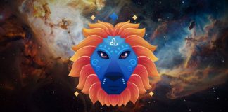 LAV – ŠOKANTAN OBRT U ŽIVOTU: Otkriće koje otvara oči i ruši stare planove!