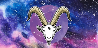 JARAC: Neočekivane vesti donose mnogo suza radosnica! Biće baš veselo!