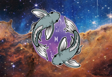 RIBE: Pravda dolazi u pravom trenutku! Nećete poverovati da se ovako nešto može desiti!