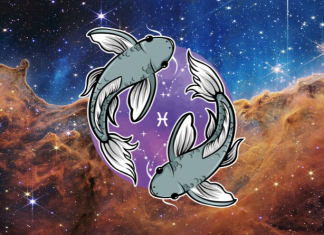 RIBE: Pravda dolazi u pravom trenutku! Nećete poverovati da se ovako nešto može desiti!