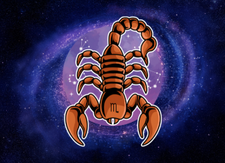 ŠKORPIJA: Snovi se ostvaruju – sudbina briše sve suze i donosi čudo!