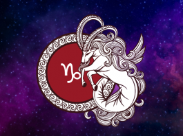 JARAC – SUDBINA REMETI SVE PLANOVE: Ovako je zapisano i vi tu ništa nećete moći!