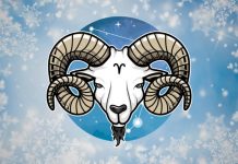 OVAN – KARMA NA DELU: Sve što ste čekali sada dolazi odjednom!