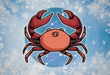 LAV – KARMA NA DELU: Sve što ste čekali sada dolazi odjednom!