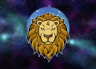 LAV – KADA SE ISTINA OTKRIJE: Sledi saznanje koje niste očekivali!