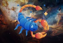 ŠKORPIJA: Ništa nije slučajno! Sudbina vam sprema velike promene!