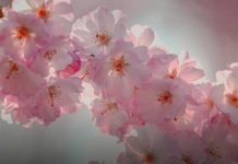 Od 1. aprila kreće najljepše vrijeme za 3 znaka: Nijedan problem neće ostati neriješen