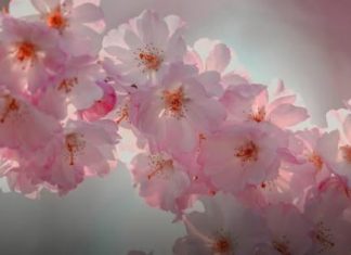 Od 1. aprila kreće najljepše vrijeme za 3 znaka: Nijedan problem neće ostati neriješen