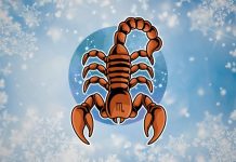 ŠOK DO SUZA: Škorpiju pogađa sudbina kakvu niko nije mogao da predvidi!