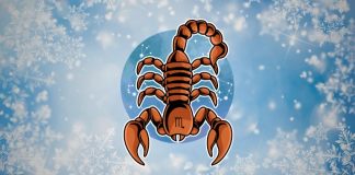 ŠOK DO SUZA: Škorpiju pogađa sudbina kakvu niko nije mogao da predvidi!