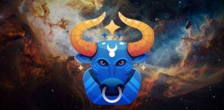 ŠOKIRANI SMO I MI: Ovakvu sudbinu nismo očekivali ni za jednog Bika!